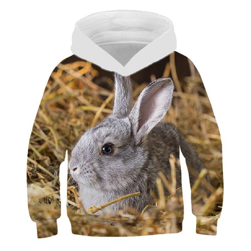 Autumn Hot Sale Fashion Boys Rabbit 3D Print Sport Hoodies T Shirt Outerwear Children Long Sleeve Casual Hooded Sweatshirt