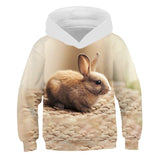 Autumn Hot Sale Fashion Boys Rabbit 3D Print Sport Hoodies T Shirt Outerwear Children Long Sleeve Casual Hooded Sweatshirt